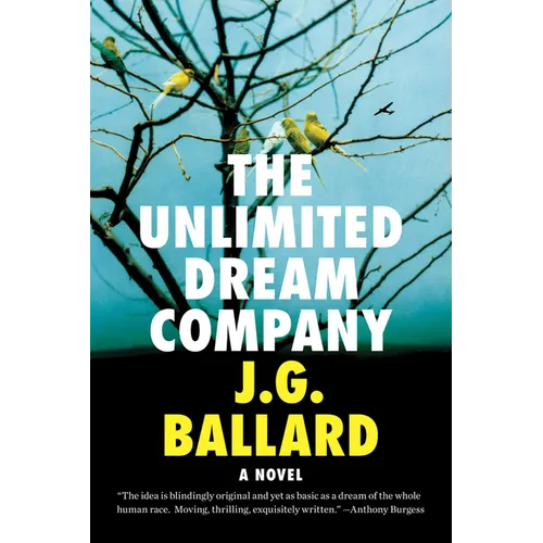 Unlimited Dream Company - Paperback