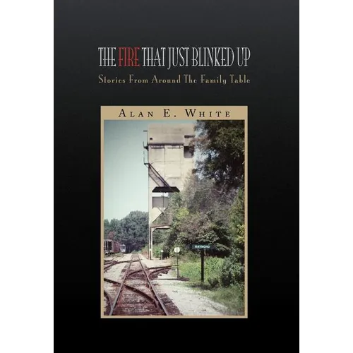 The Fire That Just Blinked Up - Hardcover