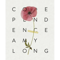 Codependence - Paperback