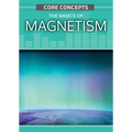 The Basics of Magnetism - Paperback