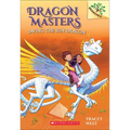 Saving the Sun Dragon - Hardcover