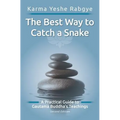 The Best Way to Catch a Snake: A Practical Guide To Gautama Buddha's Teachings - Paperback
