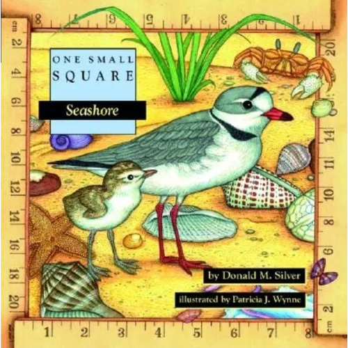 Seashore - Paperback