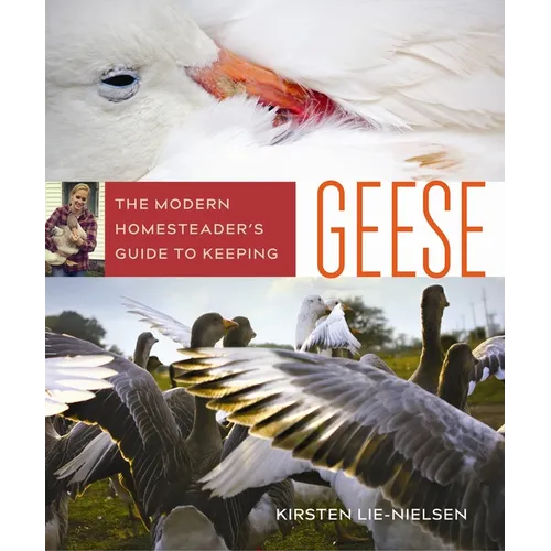 The Modern Homesteader's Guide to Keeping Geese - Paperback