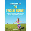 A Guide to The Present Moment - Paperback