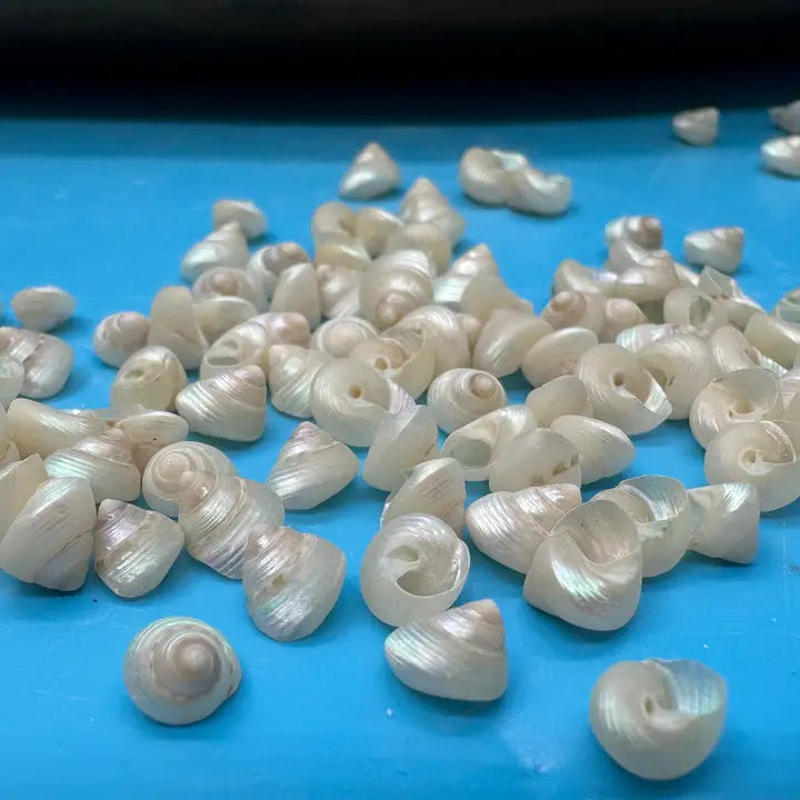 Bulk Mini Pearl Spiral Top Shells – 1 oz for Crafting & DIY Projects