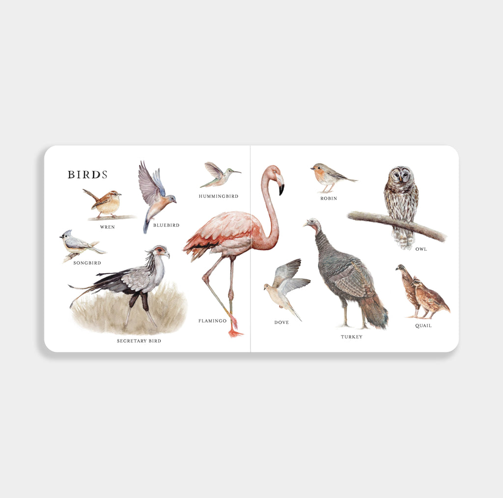Our Big Book of Animals