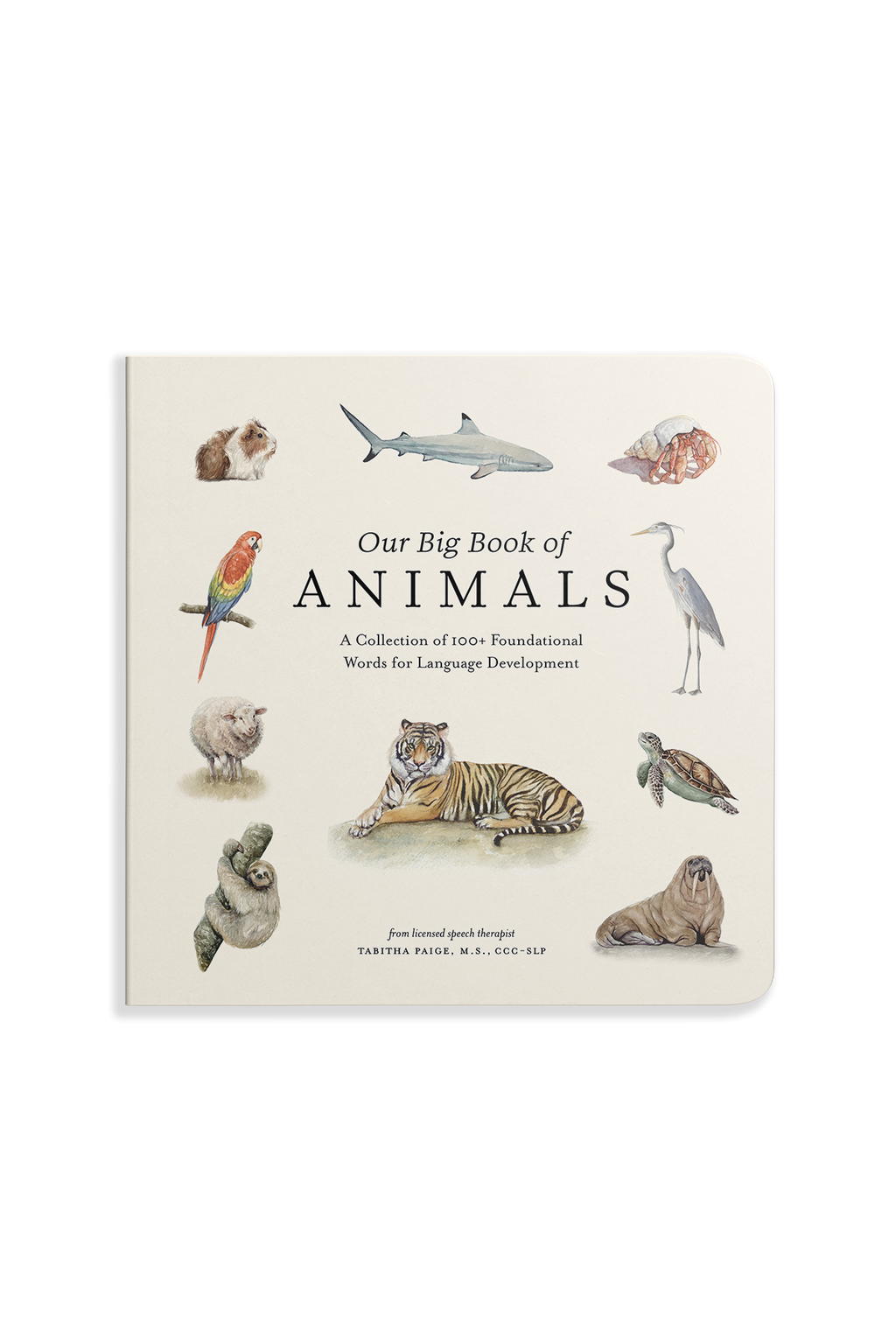 Our Big Book of Animals
