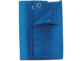 Blue Tarp
