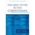 The First Letter to the Corinthians - Hardcover