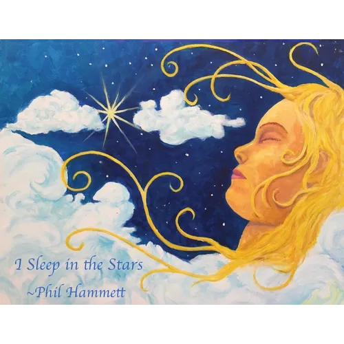 I Sleep in the Stars - Paperback