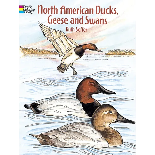 North American Ducks, Geese and Swans Coloring Book - Paperback