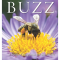 Buzz: A Book of Happiness for Bee Lovers - Hardcover