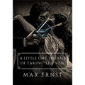 A Little Girl Dreams of Taking the Veil - Paperback