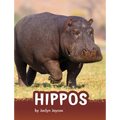 Hippos - Hardcover