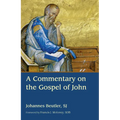 A Commentary on the Gospel of John - Paperback