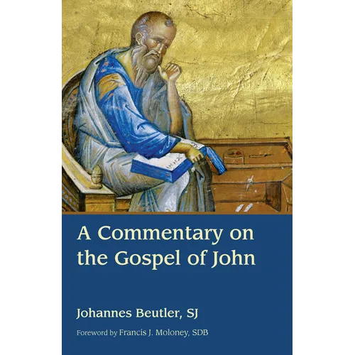 A Commentary on the Gospel of John - Paperback