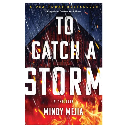 To Catch a Storm - Paperback