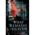 What Remains of Heaven - Paperback