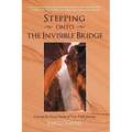 Stepping onto the Invisible Bridge: Courage for Every Season of Your Faith Journey - Hardcover
