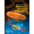 Snyder and Champness Molecular Genetics of Bacteria - Hardcover