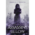 Assassins Below: Tales From Haven City - Paperback