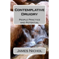 Contemplative Druidry: People Practice and Potential - Paperback