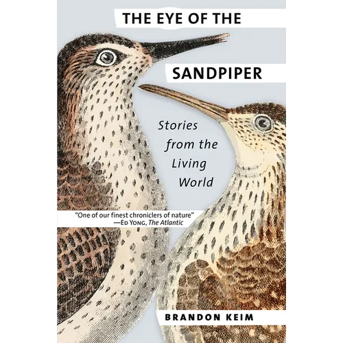 The Eye of the Sandpiper: Stories from the Living World - Paperback