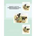 Jersey Cattle: Their Feeding and Management - Paperback