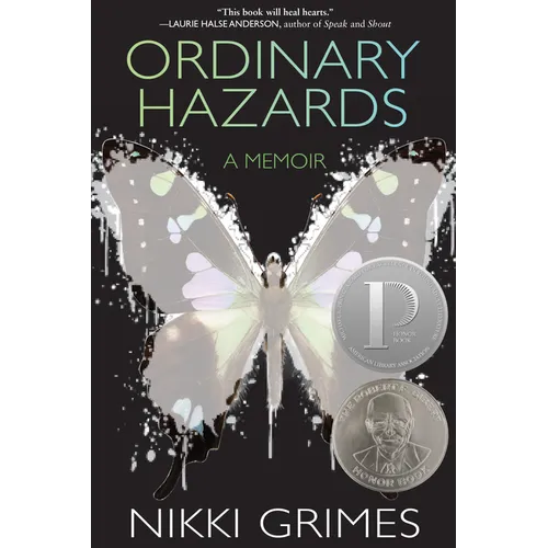 Ordinary Hazards: A Memoir - Paperback