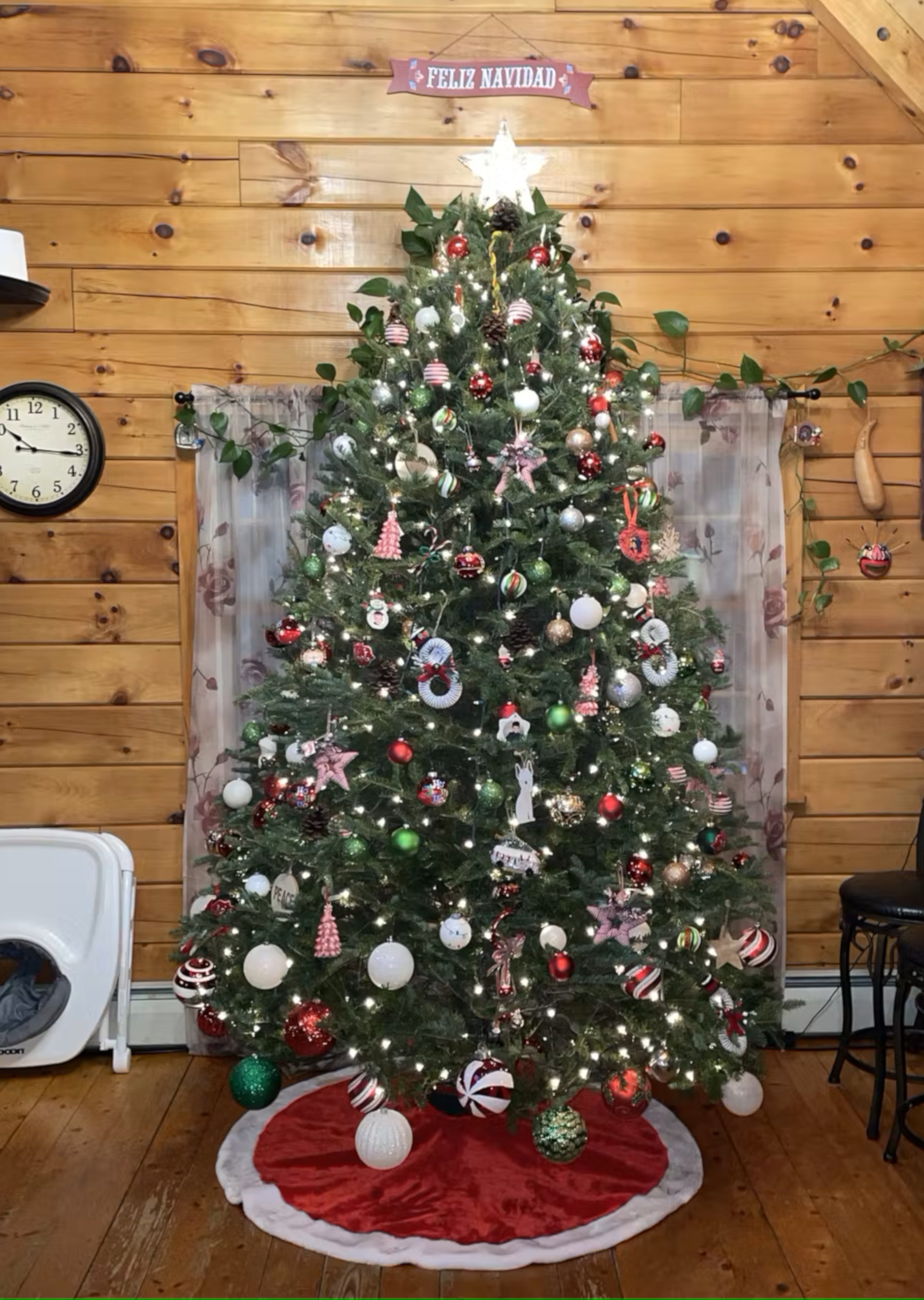 Real Christmas Trees Delivered 9 Foot Premium Balsam Fir Christmas Tree