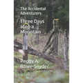 Three Days atop a Mountain: The Accidental Adventurers - Paperback