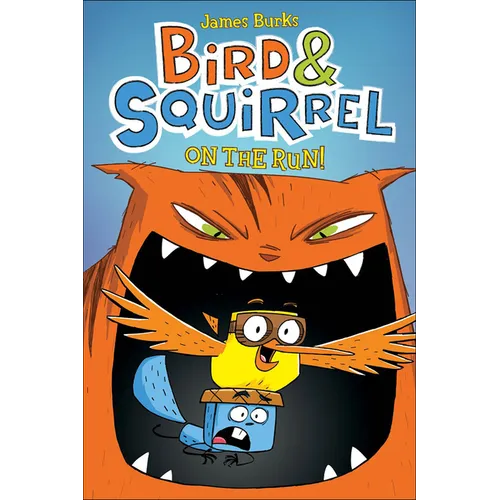 Bird & Squirrel on the Run - Hardcover