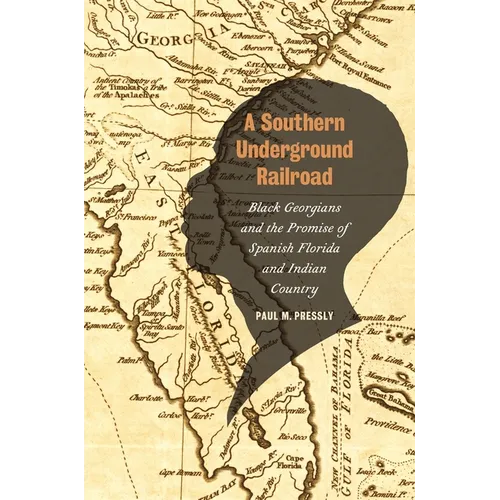 A Southern Underground Railroad: Black Georgians and the Promise of Spanish Florida and Indian Country - Paperback