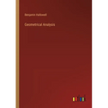 Geometrical Analysis - Paperback
