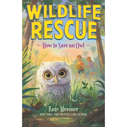 How to Save an Owl - Paperback