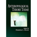 Anthropological Theory Today - Paperback