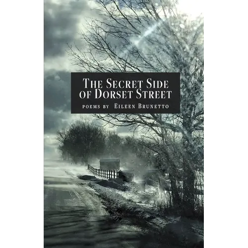 The Secret Side of Dorset Street - Paperback