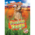 Prairie Dogs - Library Binding