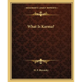 What Is Karma? - Paperback