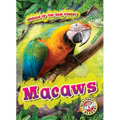 Macaws - Library Binding