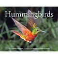 Hummingbirds - Paperback