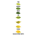 The Woods Hold Us - Paperback