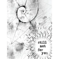 Still Not For You - Hardcover