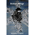 Broken Wings - Hardcover