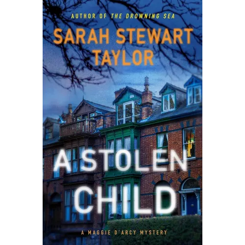 A Stolen Child: A Maggie d'Arcy Mystery - Paperback