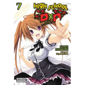 High School DXD, Vol. 7 (Light Novel): Ragnarok After School Volume 7 - Paperback