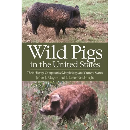 Wild Pigs in the United States: Their History, Comparative Morphology, and Current Status - Paperback