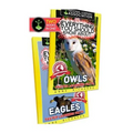 Everything You Should Know About: Owls and Eagles - Paperback