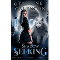 Shadow Seeking: An Urban Fantasy Adventure - Paperback